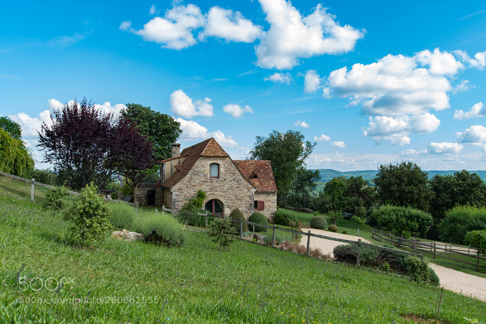 Nikon D500 sample photo. 2018 - 7.2.jpg photography