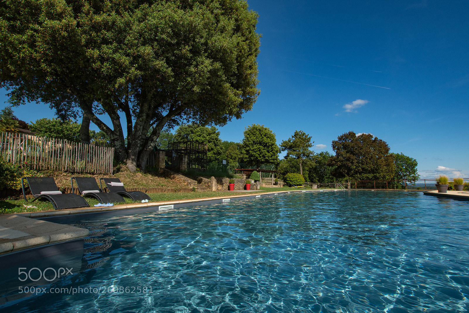 Nikon D500 sample photo. 2018 - 7.3.jpg photography