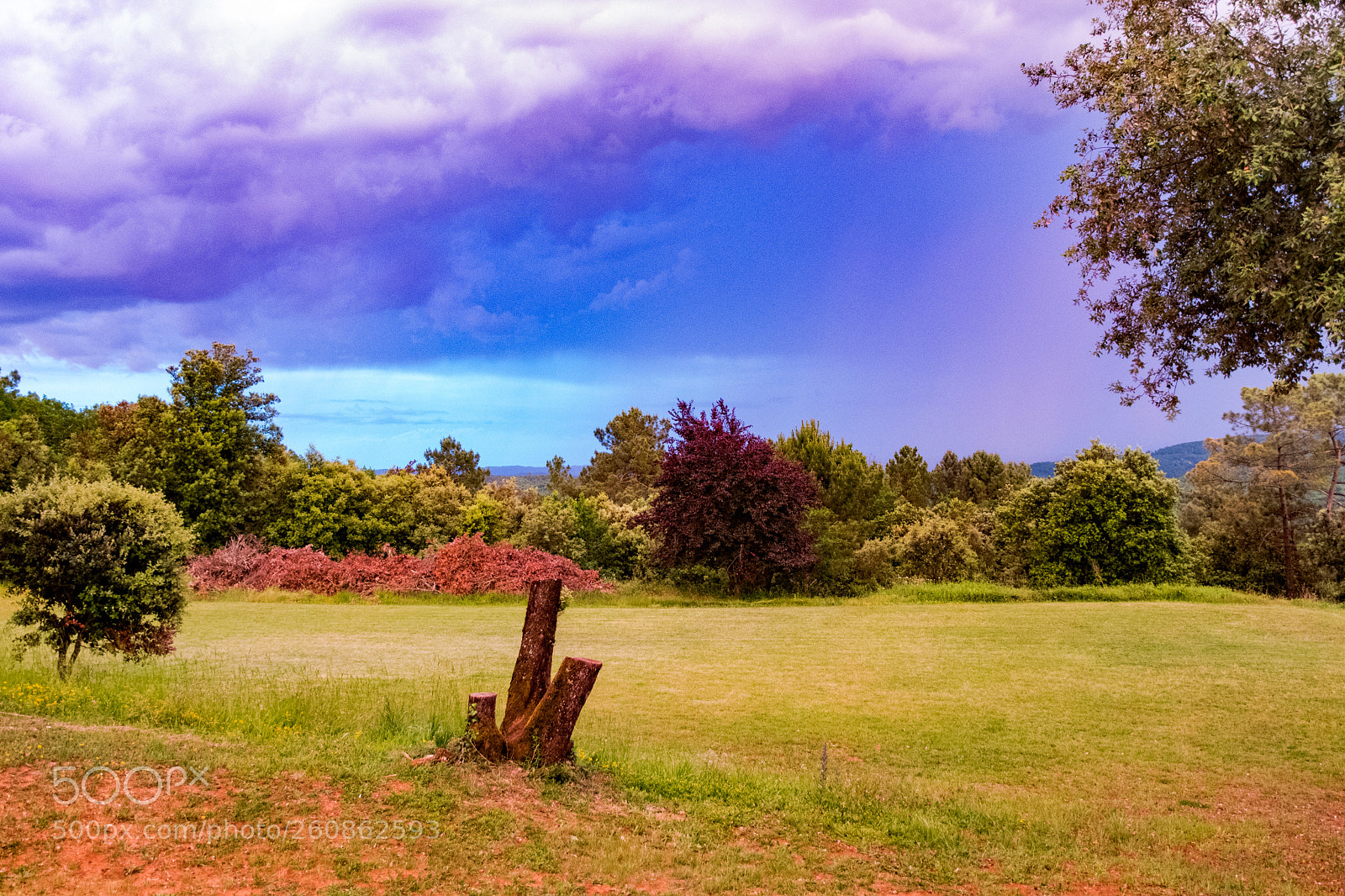 Nikon D500 sample photo. 2018 - 8.3.jpg photography