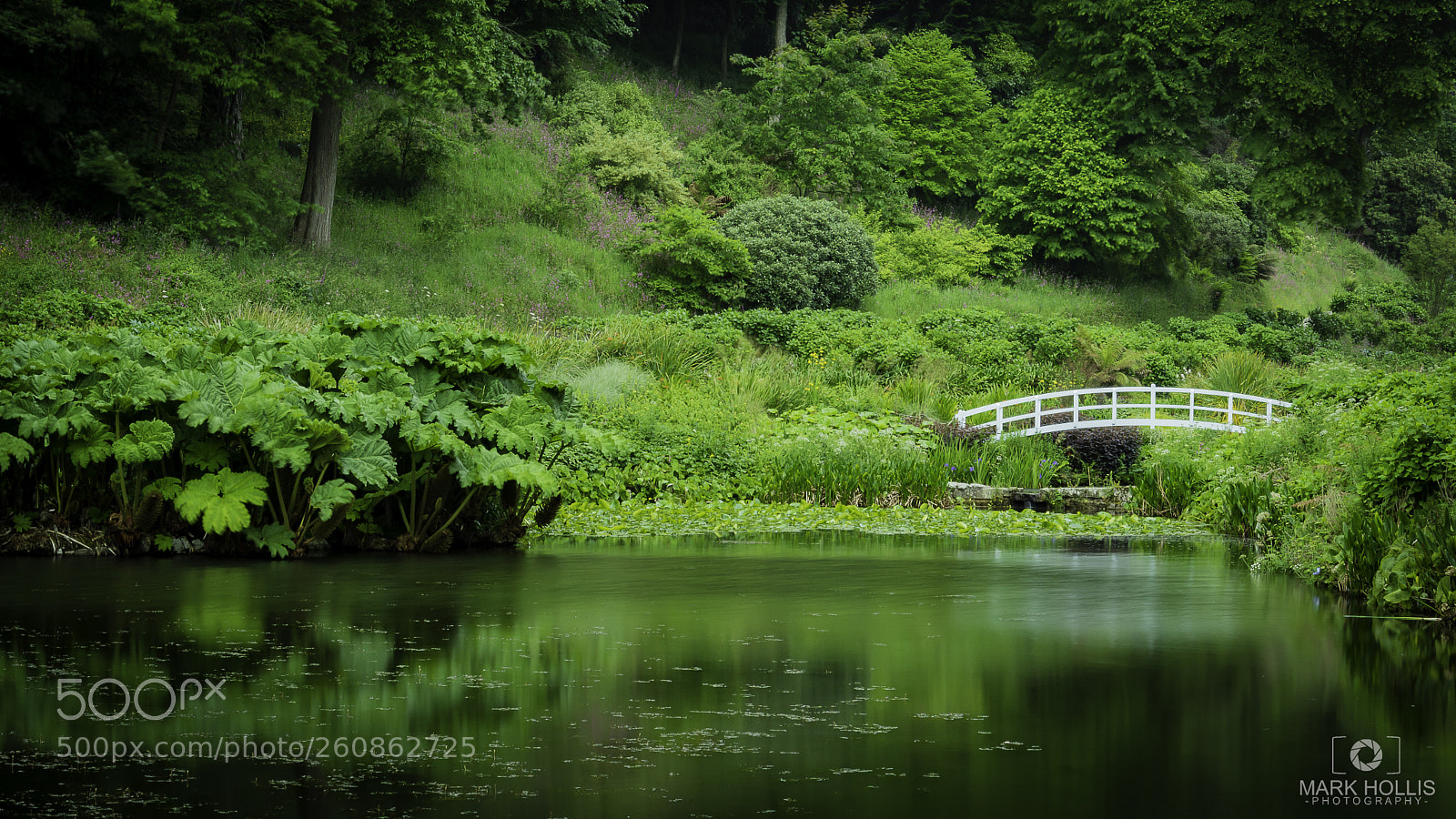 Nikon D7100 sample photo. Monet on my mind photography