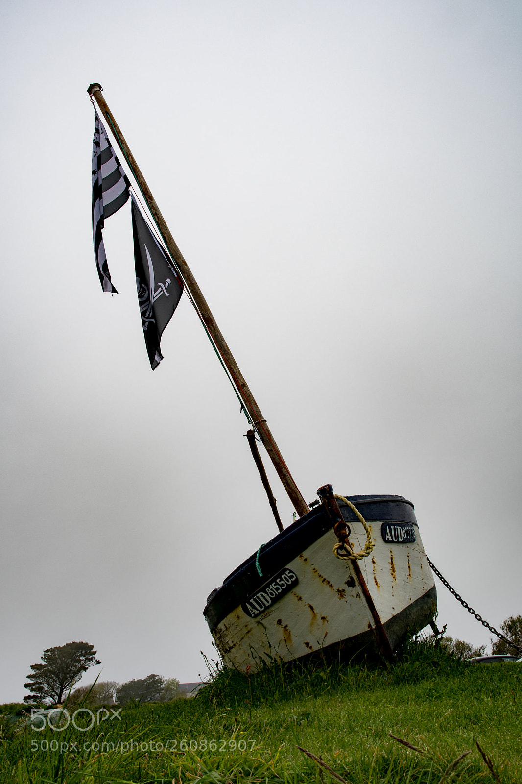 Nikon D500 sample photo. 2018 - 5.jpg photography