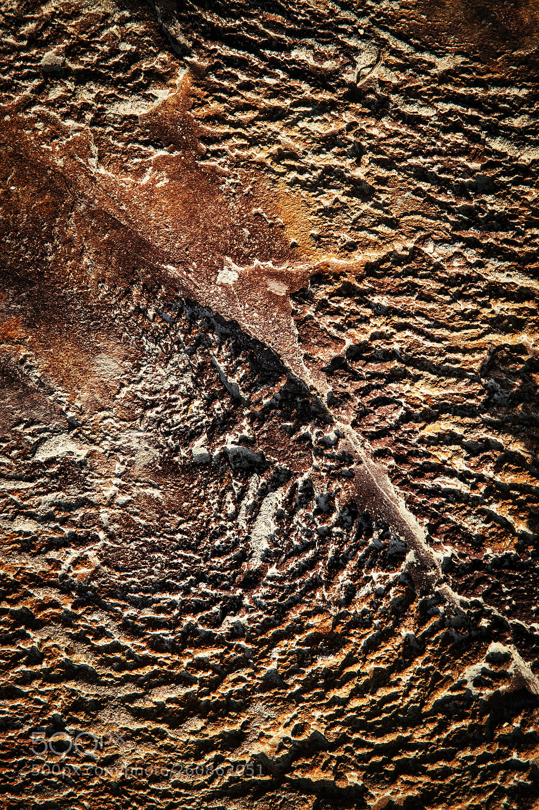 Nikon D5500 sample photo. Abstract surface bumpy stone photography