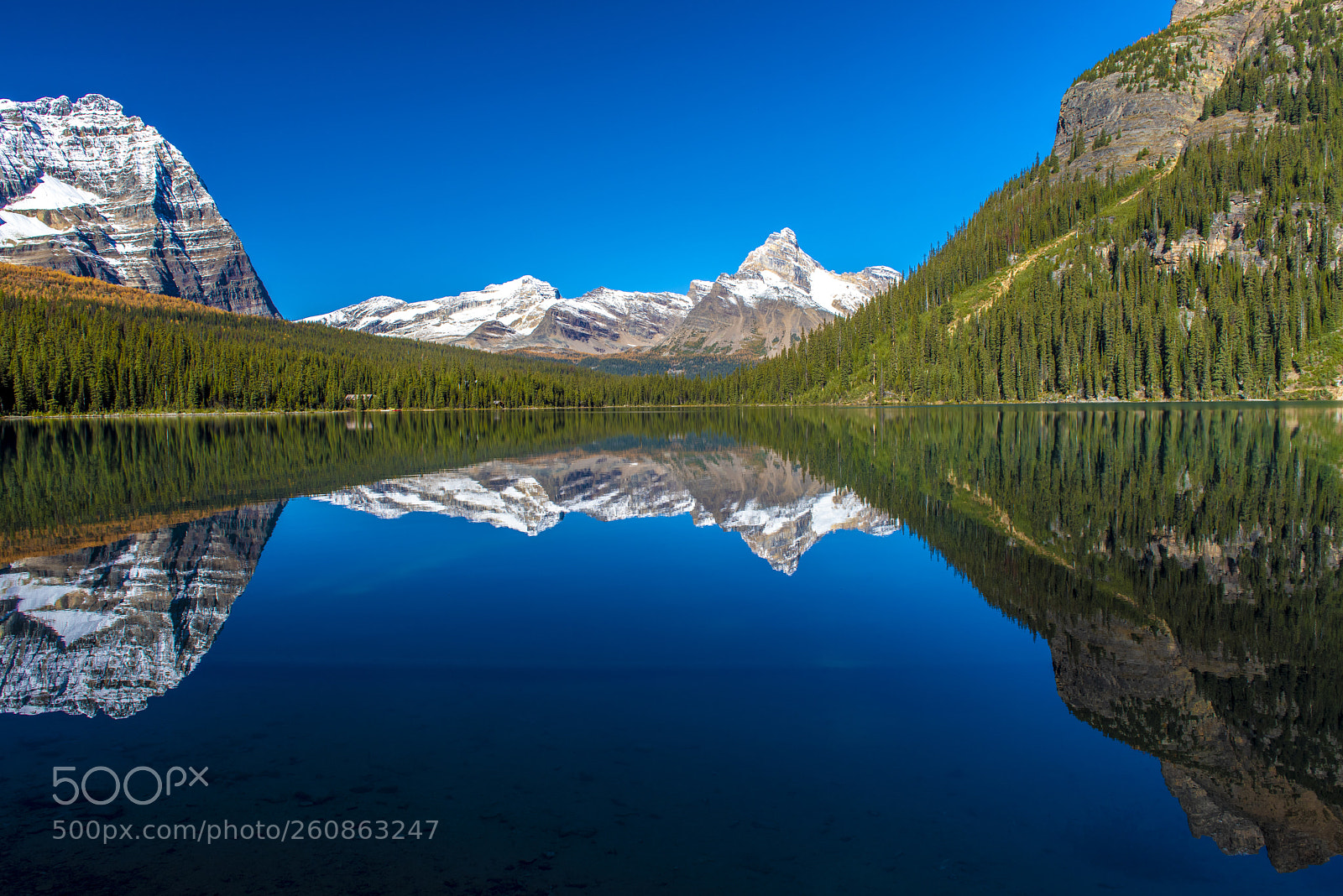 Nikon D810 sample photo. Por photography