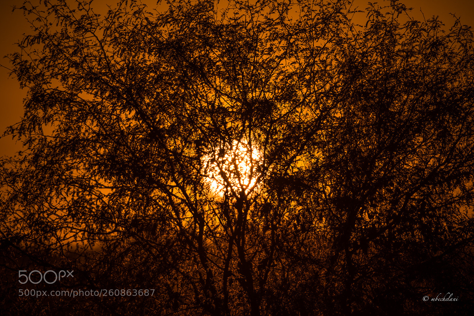 Nikon D810 sample photo. Mbs photography