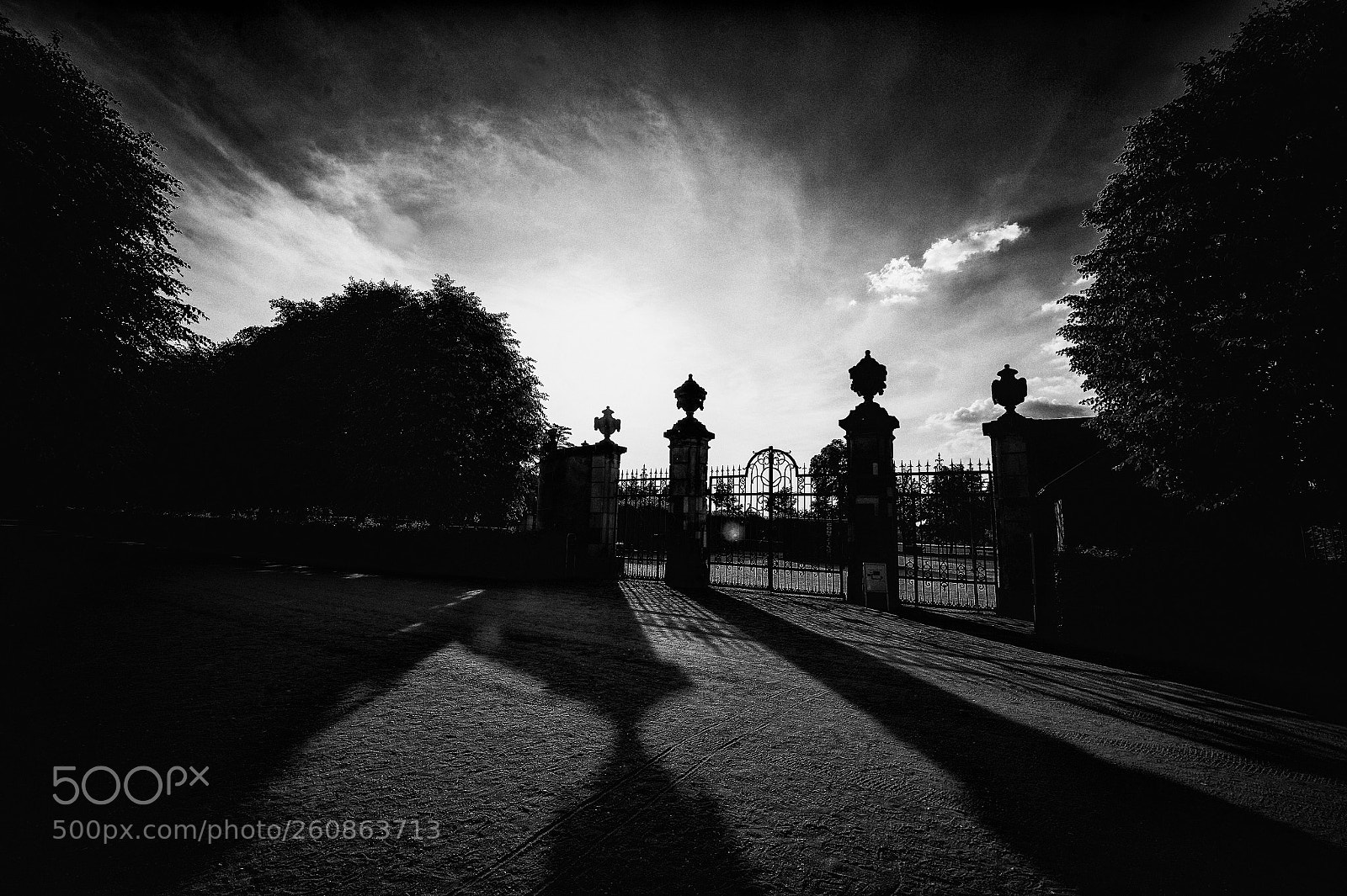 Nikon D4 sample photo. Luce e ombra photography