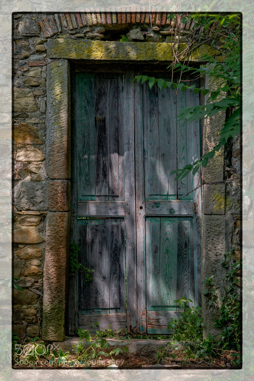Nikon D800E sample photo. The door forgotten photography