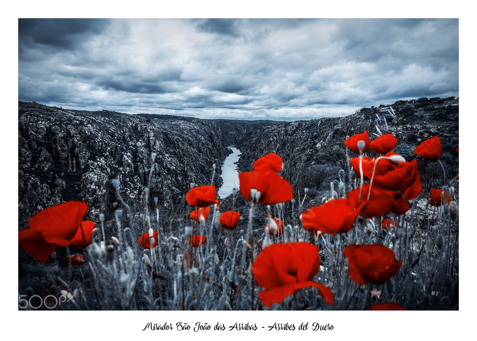 Nikon D5000 sample photo. Arribes del duero i photography