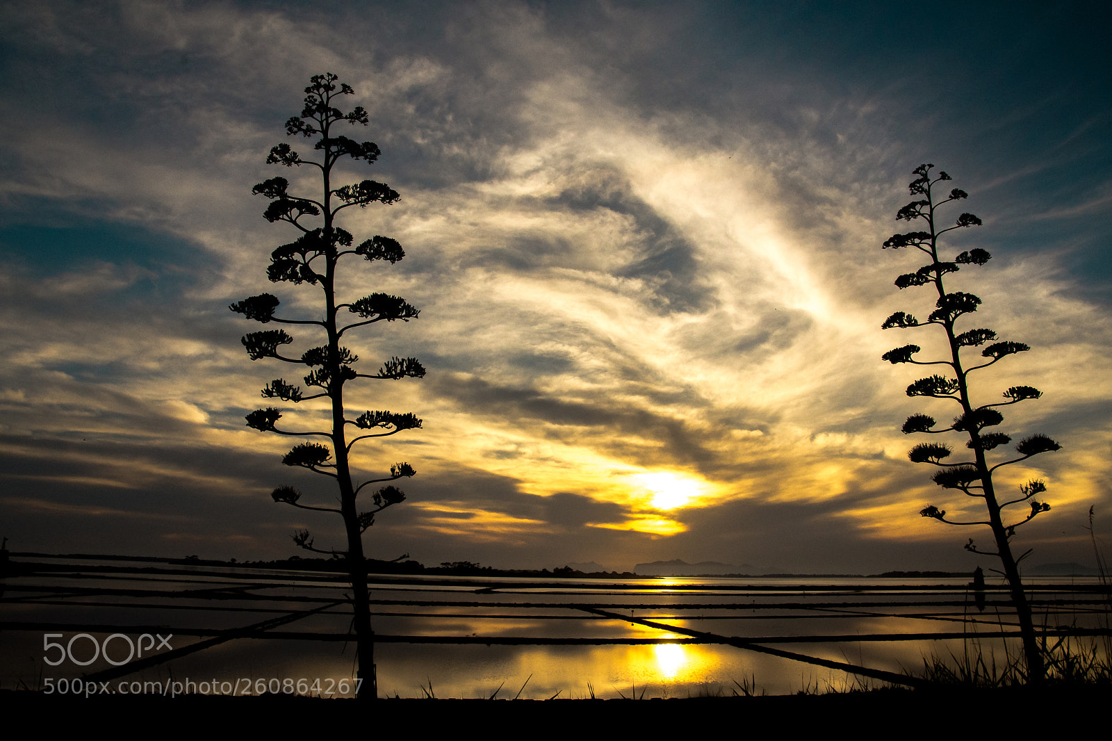 Nikon D7200 sample photo. Salty waters photography