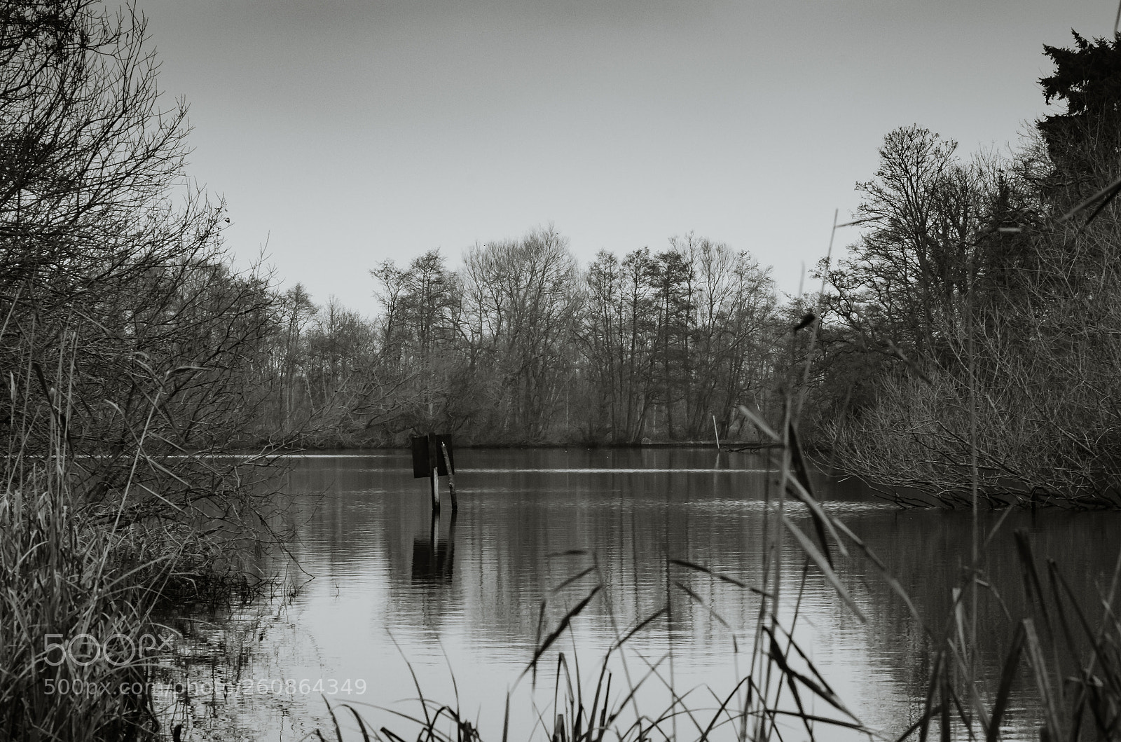 Nikon D7000 sample photo. Salhouse broad photography