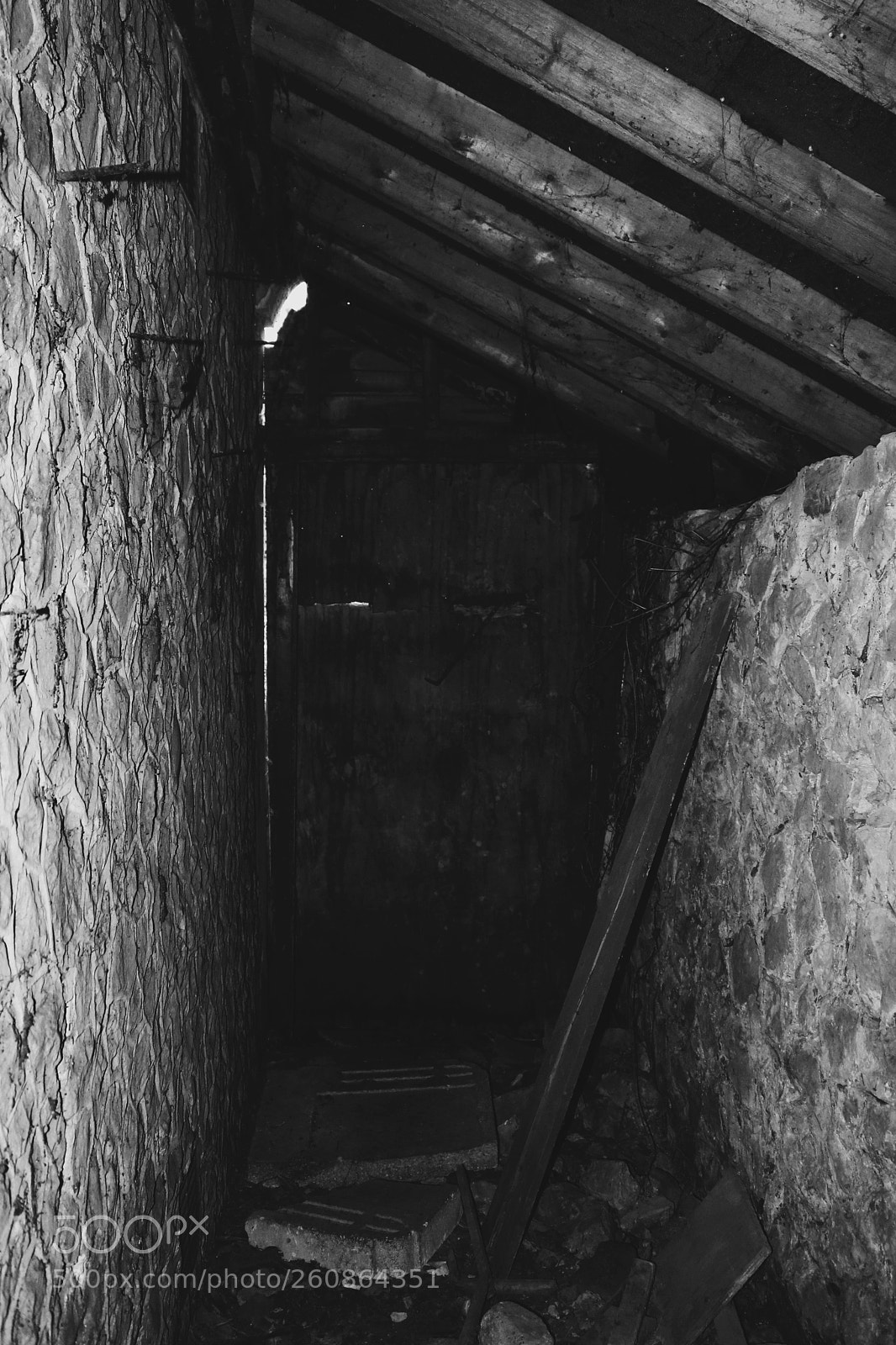 Canon EOS 750D (EOS Rebel T6i / EOS Kiss X8i) sample photo. Adventures photography