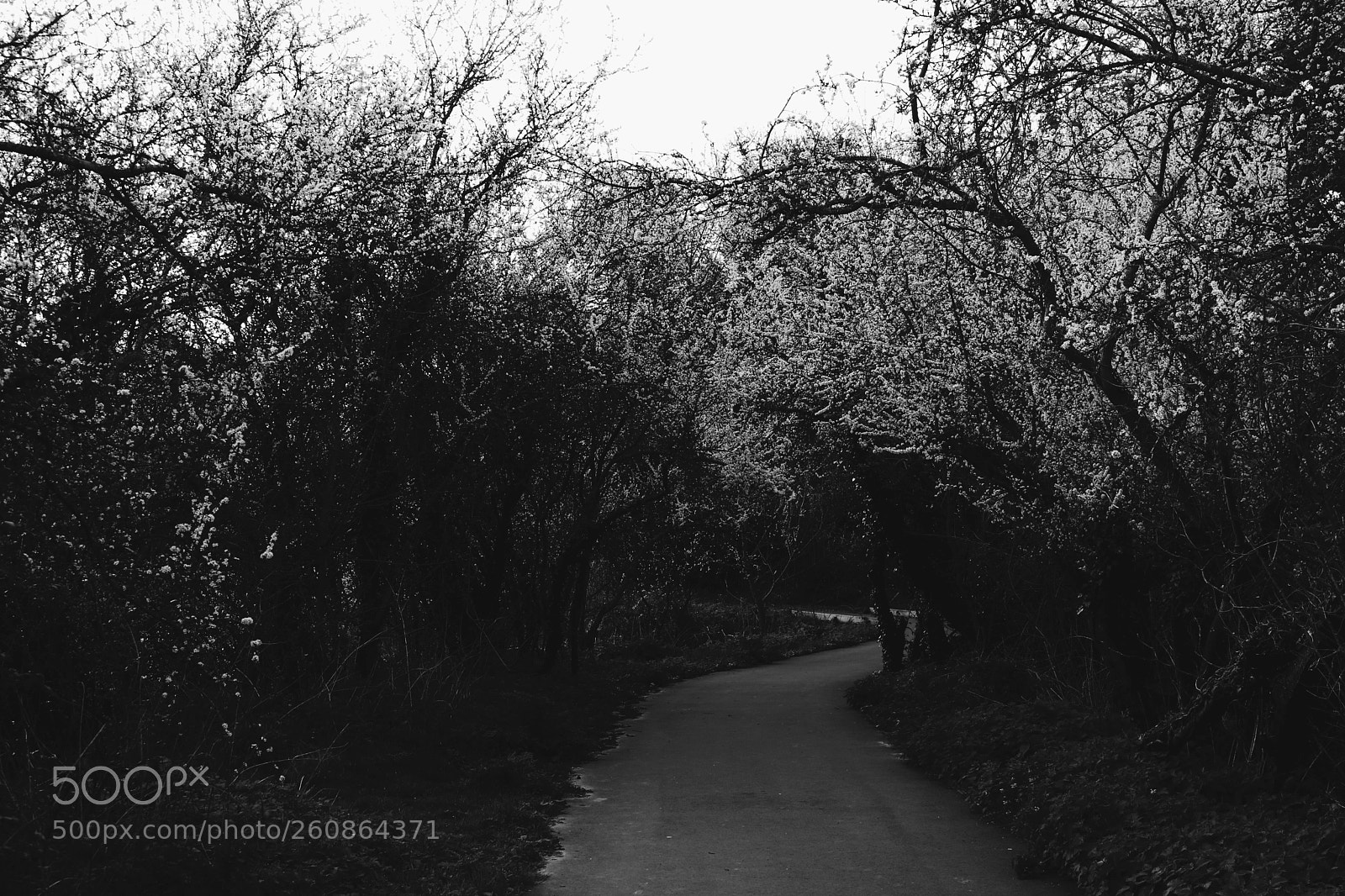 Canon EOS 750D (EOS Rebel T6i / EOS Kiss X8i) sample photo. Adventures photography