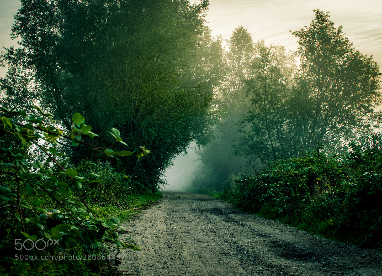 Nikon D3300 sample photo. Beccles mist photography