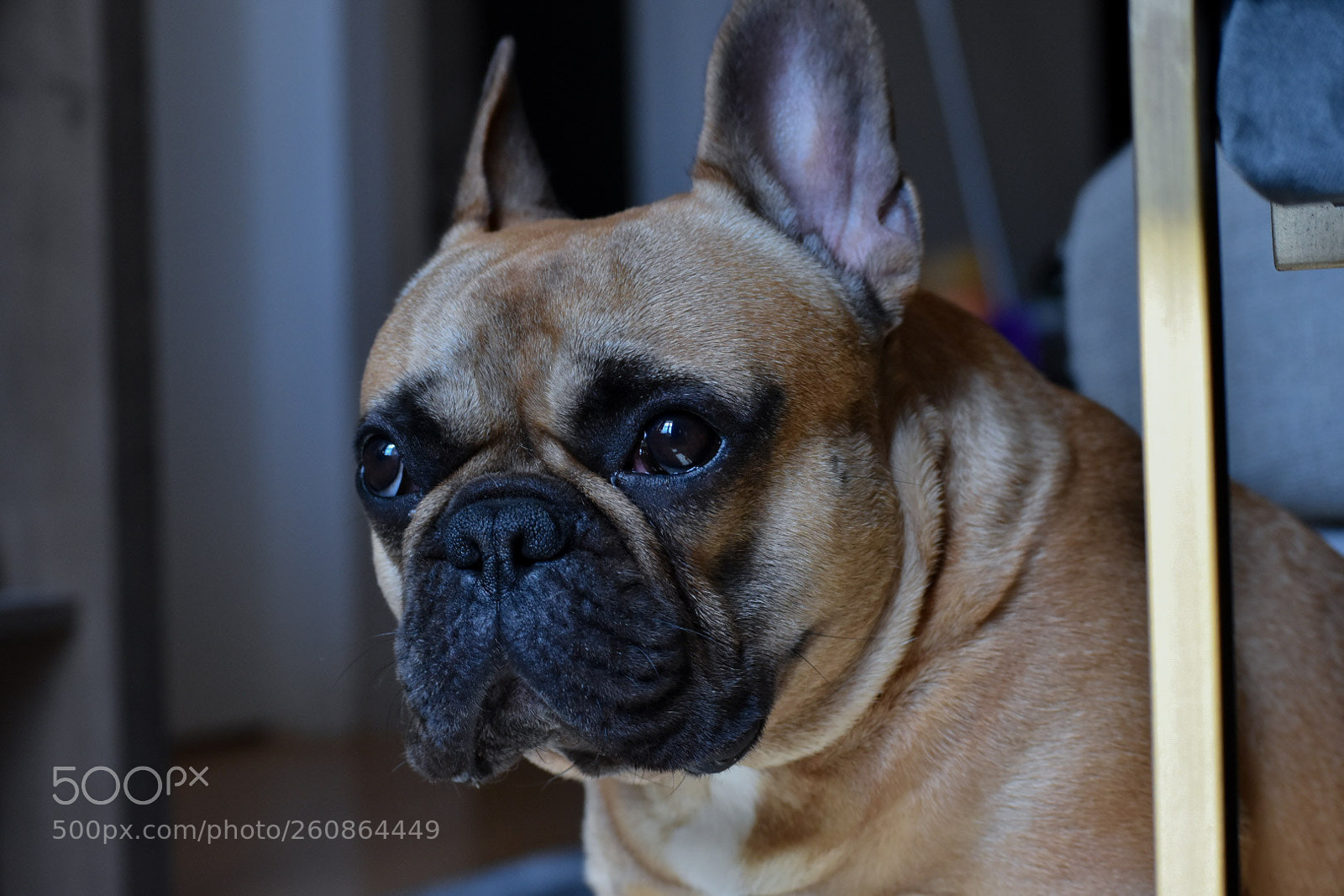Nikon D7200 sample photo. Logan photography