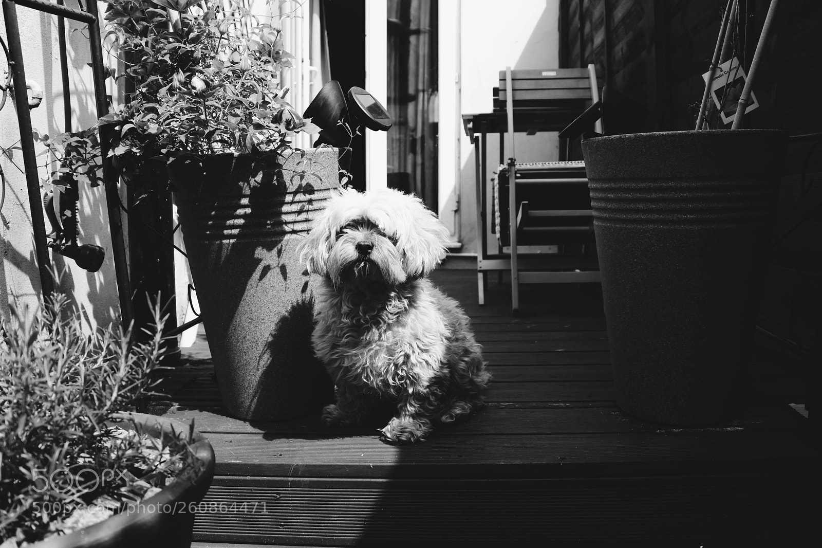 Canon EOS 750D (EOS Rebel T6i / EOS Kiss X8i) sample photo. Adventures photography
