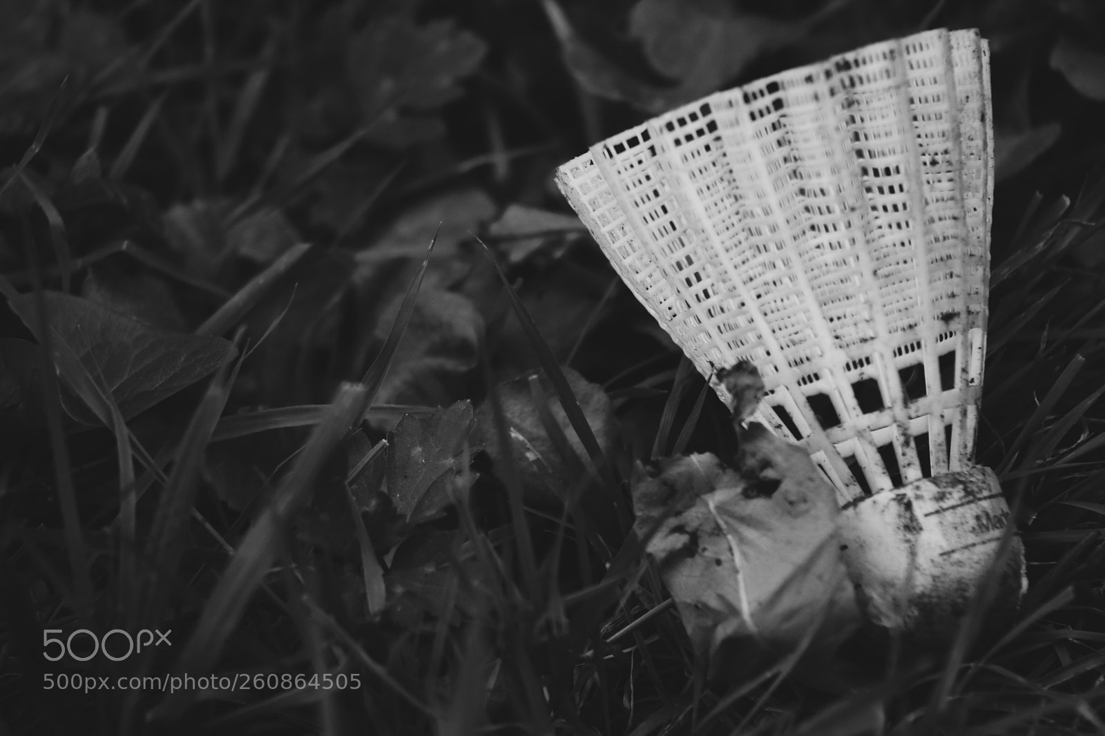 Canon EOS 750D (EOS Rebel T6i / EOS Kiss X8i) sample photo. Adventures photography
