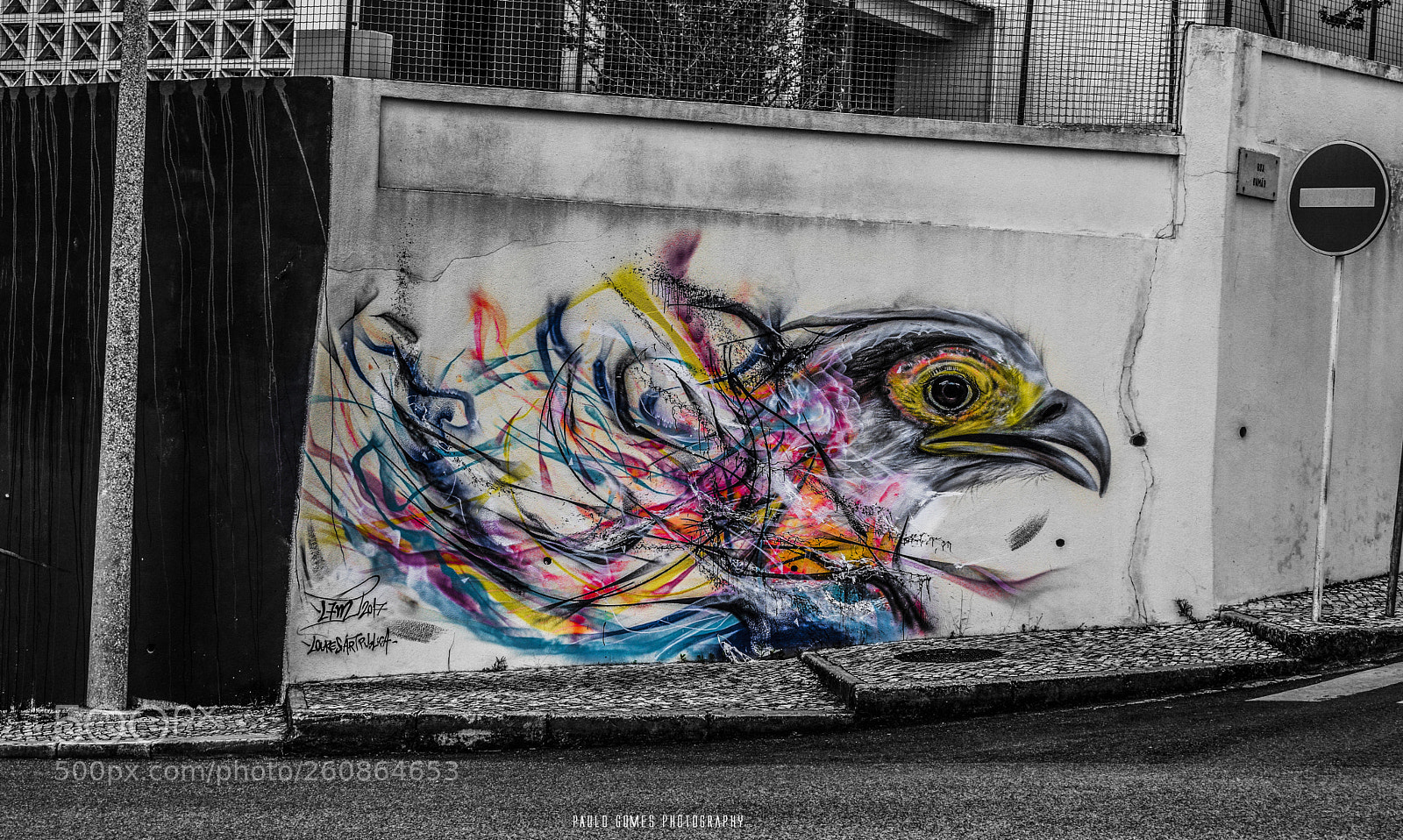 Nikon D3300 sample photo. Ave com as cores photography
