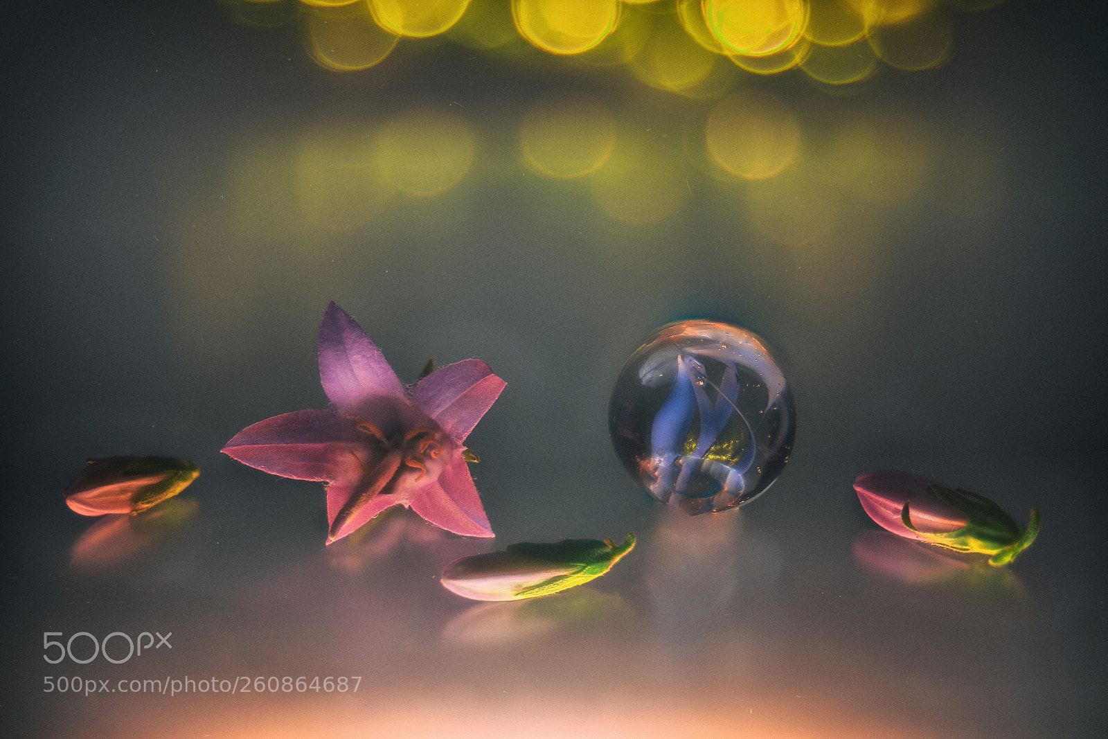 Pentax K-5 sample photo. Flowers marbles photography