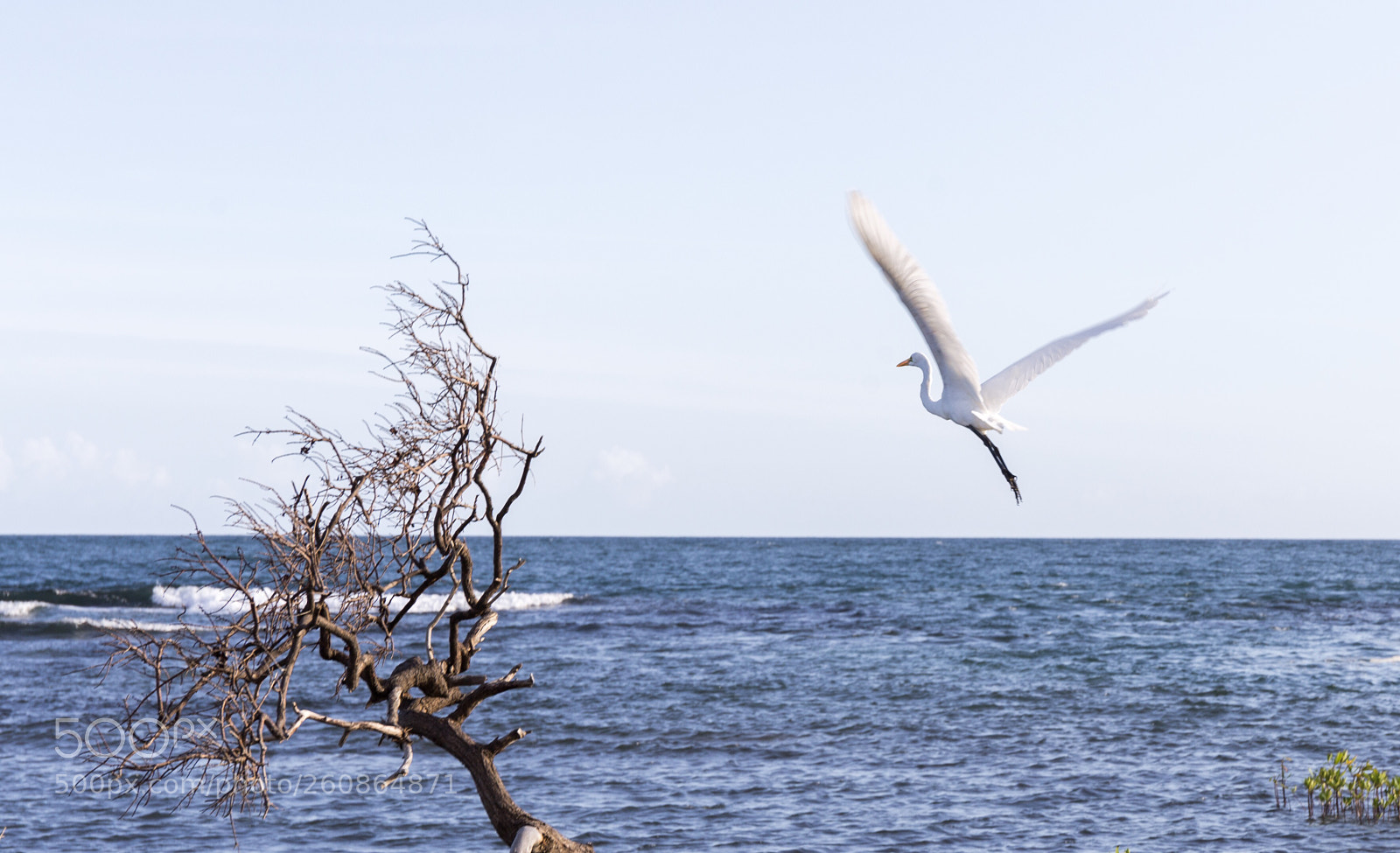 Canon EOS 6D sample photo. Flight photography
