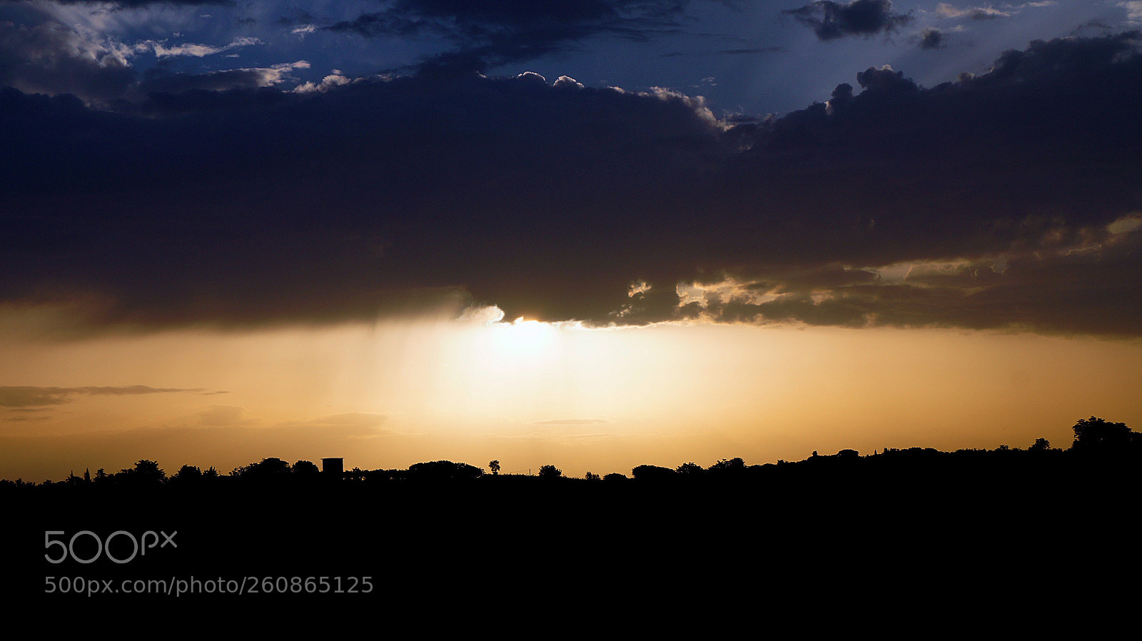 Sony SLT-A58 sample photo. Wake up photography