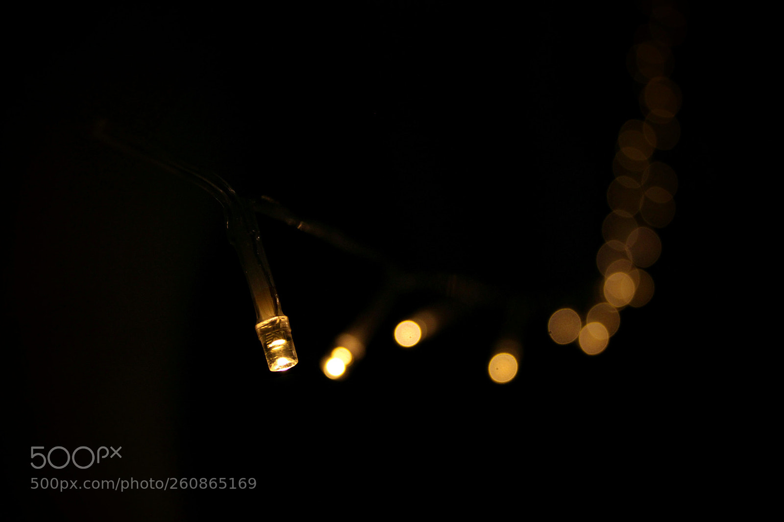 Canon EOS 60D sample photo. Will and joyce photography