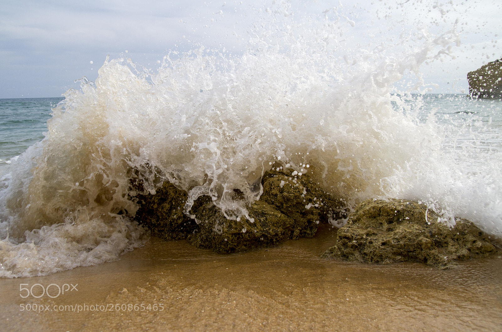 Canon EOS 7D sample photo. "just in time" photography