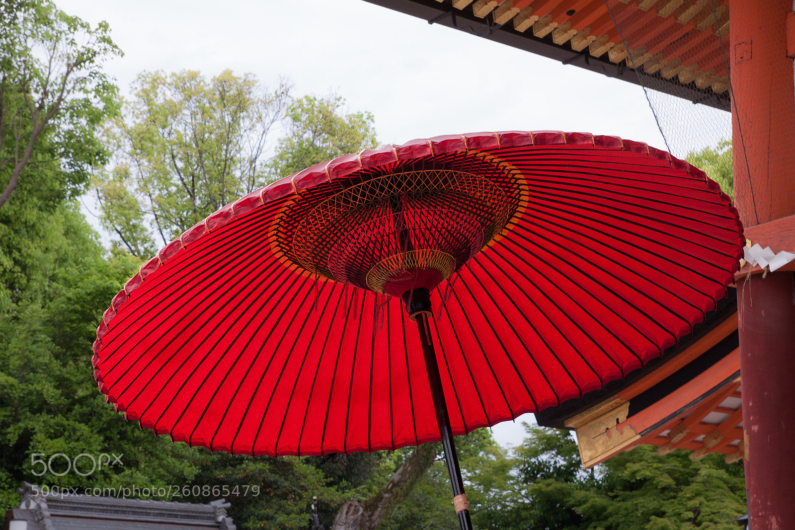 Canon EOS 50D sample photo. Red umbrella photography