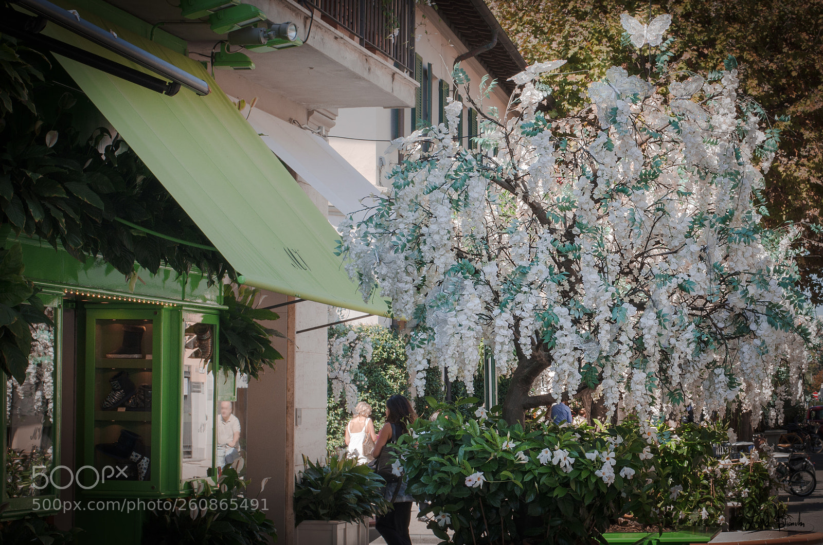 Nikon D5100 sample photo. Flowers forte dei marmi photography