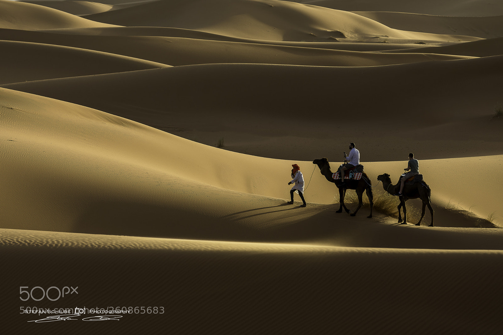 Canon EOS 5D Mark IV sample photo. Desert views: ascending slowly photography