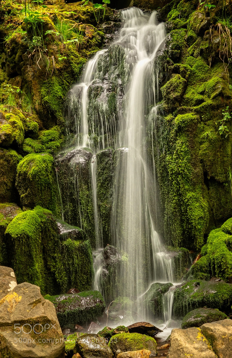 Sony a7R III sample photo. Praire creek waterfall photography
