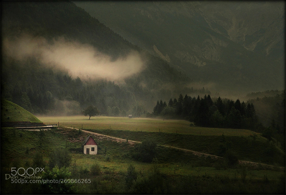 Canon EOS 5D Mark II sample photo. Tiny  house photography