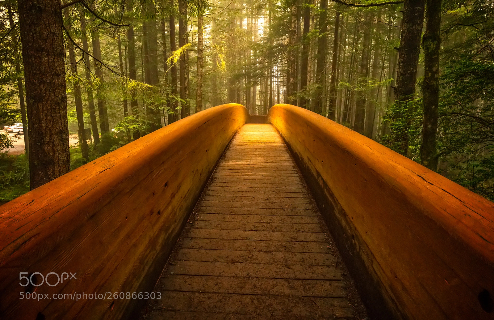 Sony a7R III sample photo. Bridge to the forest photography