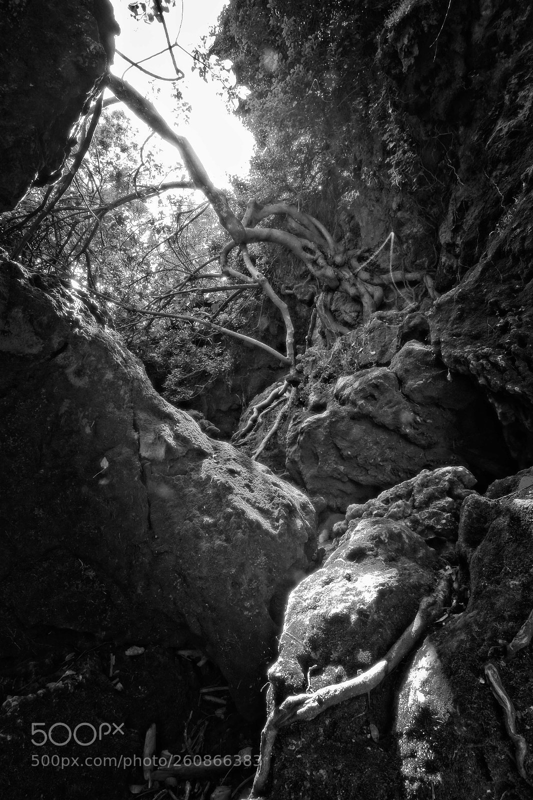 Canon EOS 70D sample photo. Boca de la gruta photography