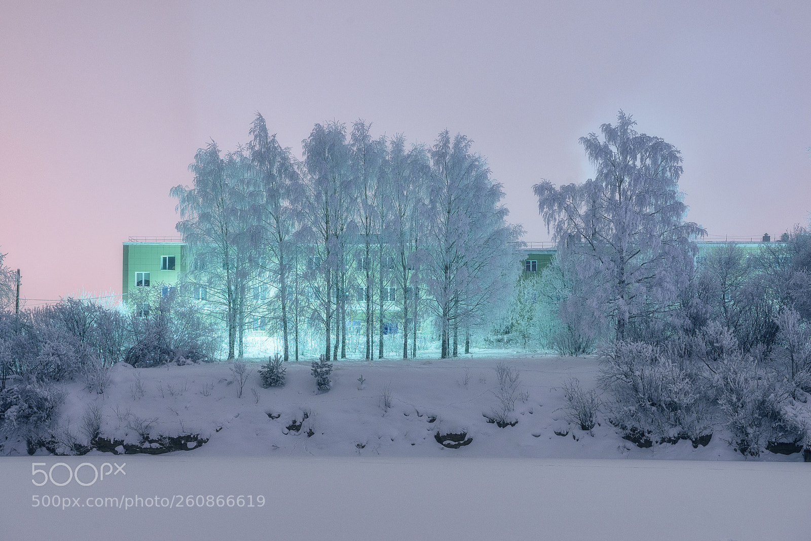 Nikon D610 sample photo. 934. bright evening iv photography