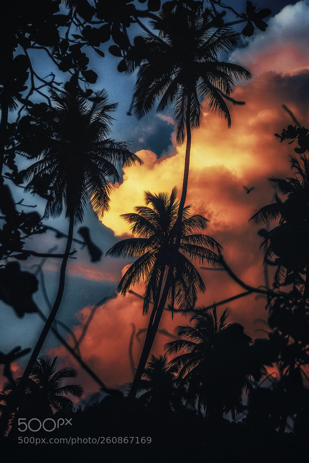 Canon EOS 5D Mark II sample photo. Summer vibes. . . photography