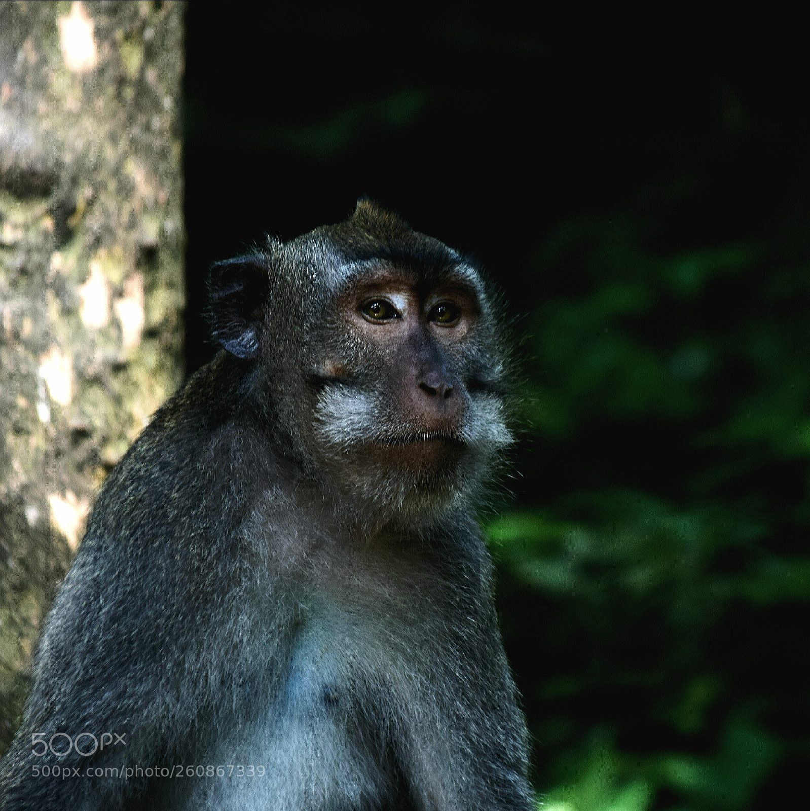 Nikon D5300 sample photo. Untitled photography