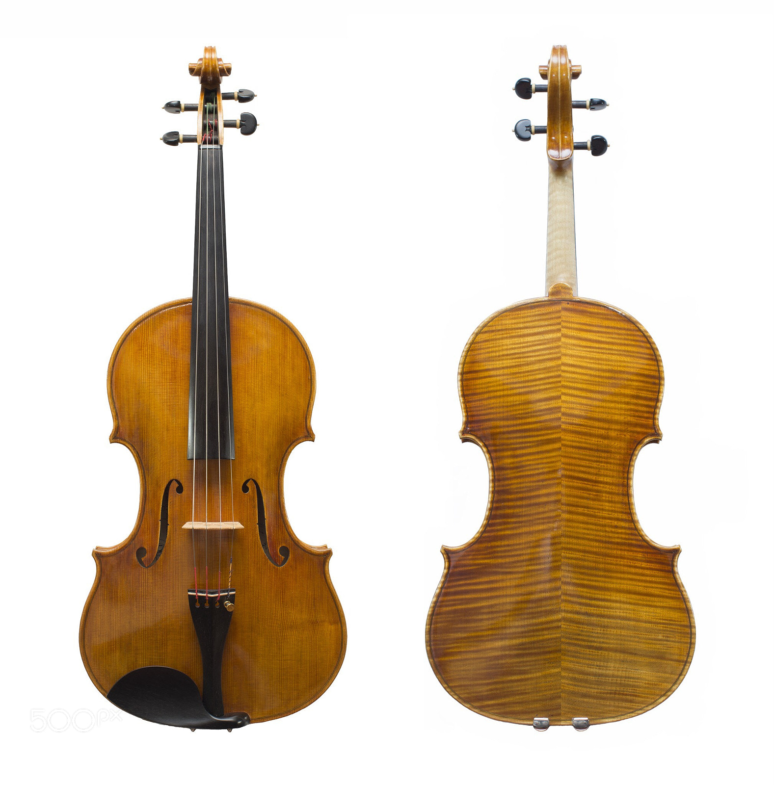 Nikon Df sample photo. Big viola photography