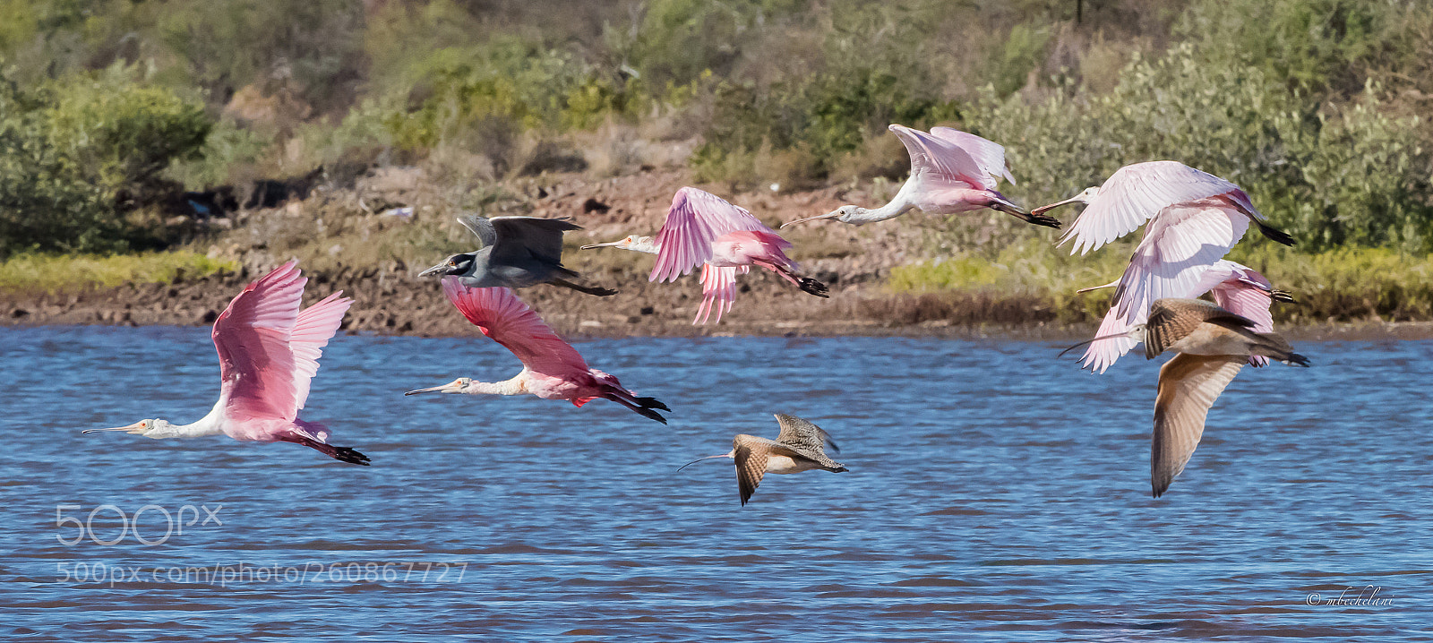 Nikon D810 sample photo. Mbs photography