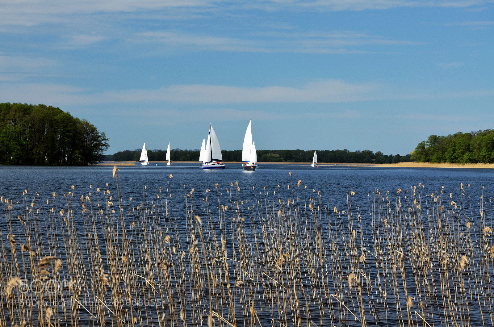 Nikon D5100 sample photo. Sailboats photography