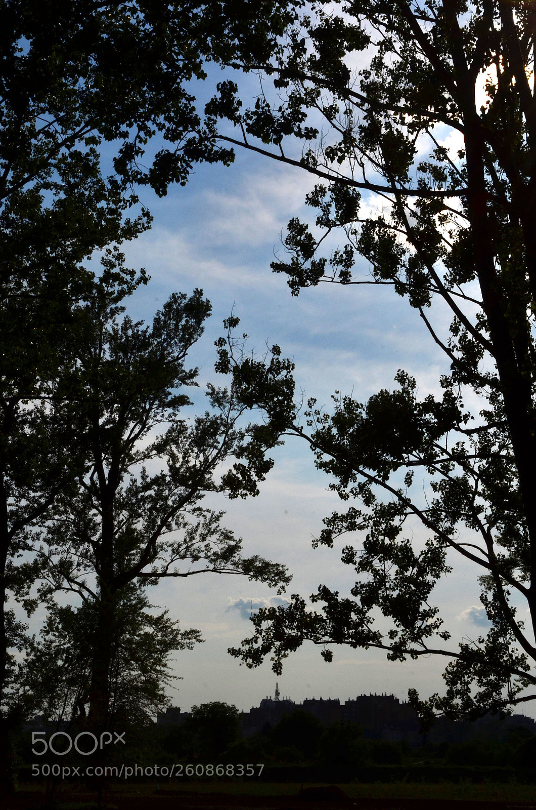 Nikon D7000 sample photo. Stw 03 photography