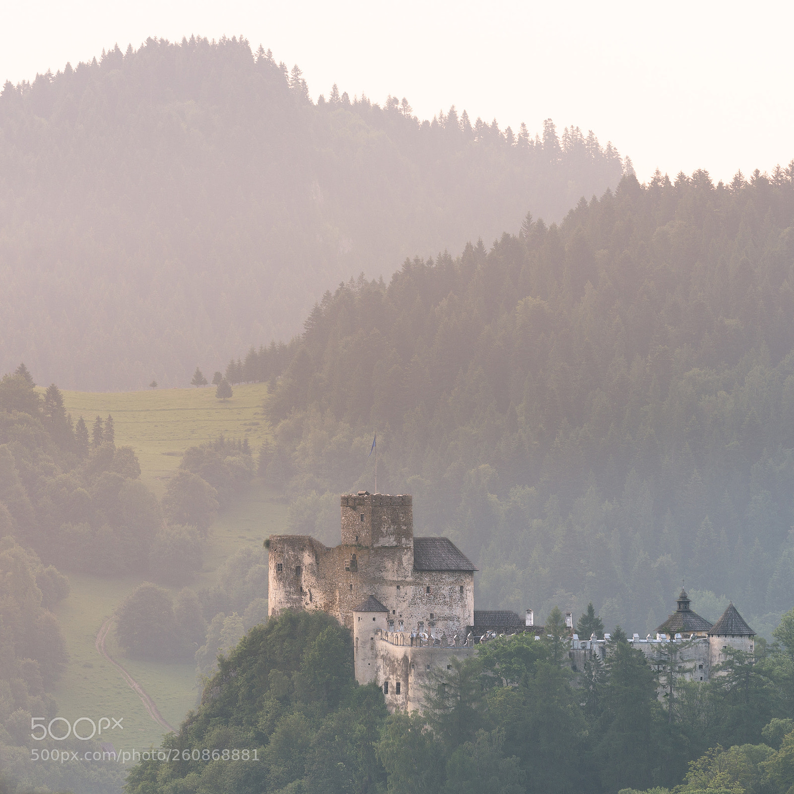 Nikon D610 sample photo. Niedzica castle photography