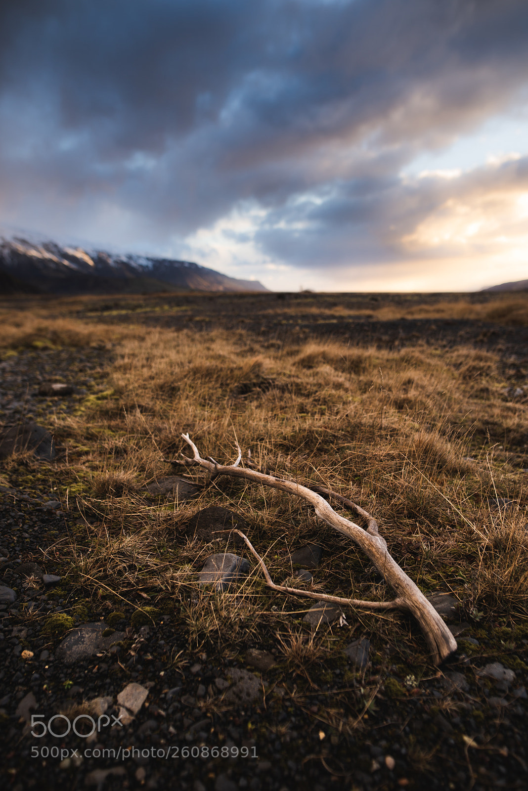 Nikon D610 sample photo. Arrow photography