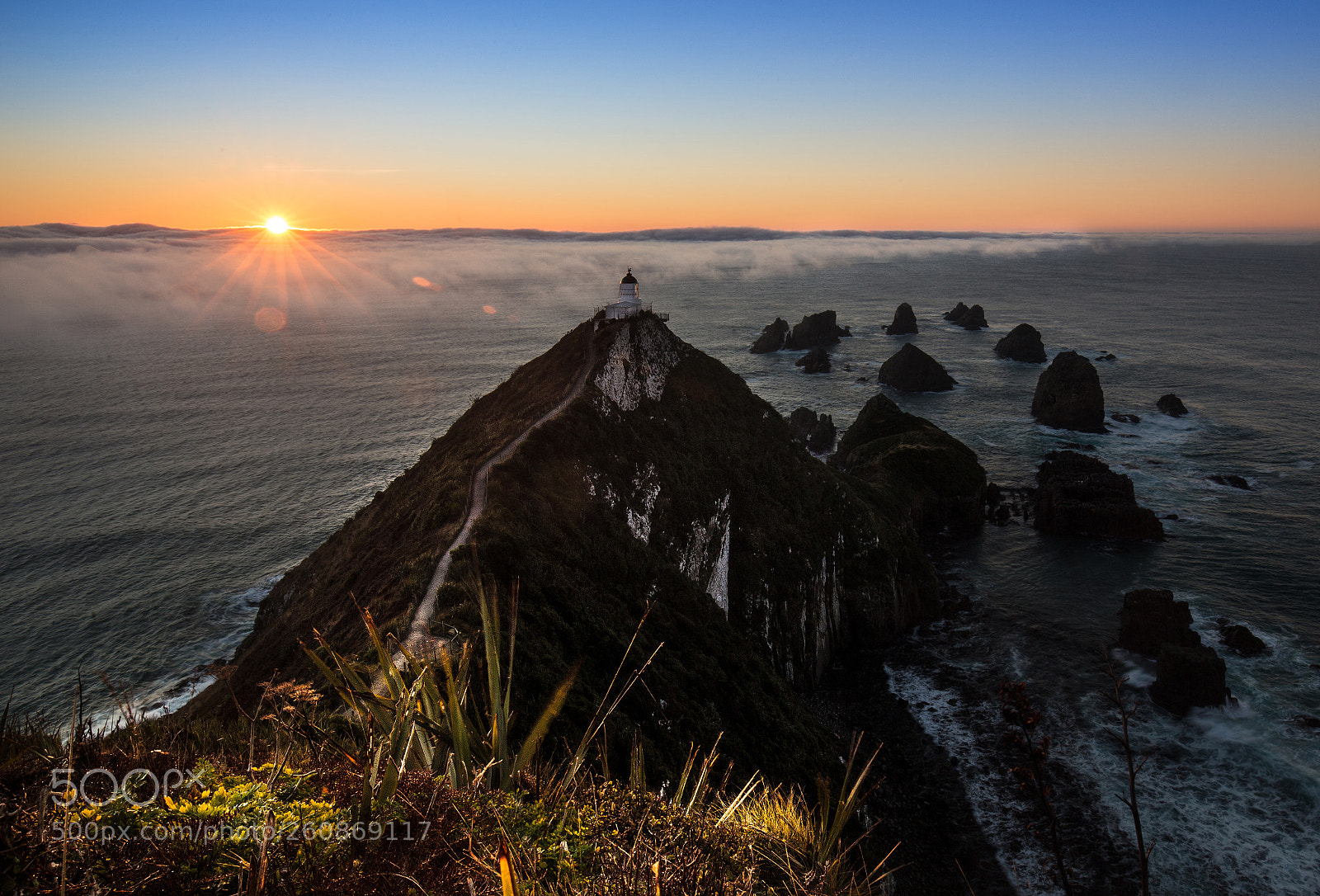 Canon EOS 6D sample photo. Nugget point photography