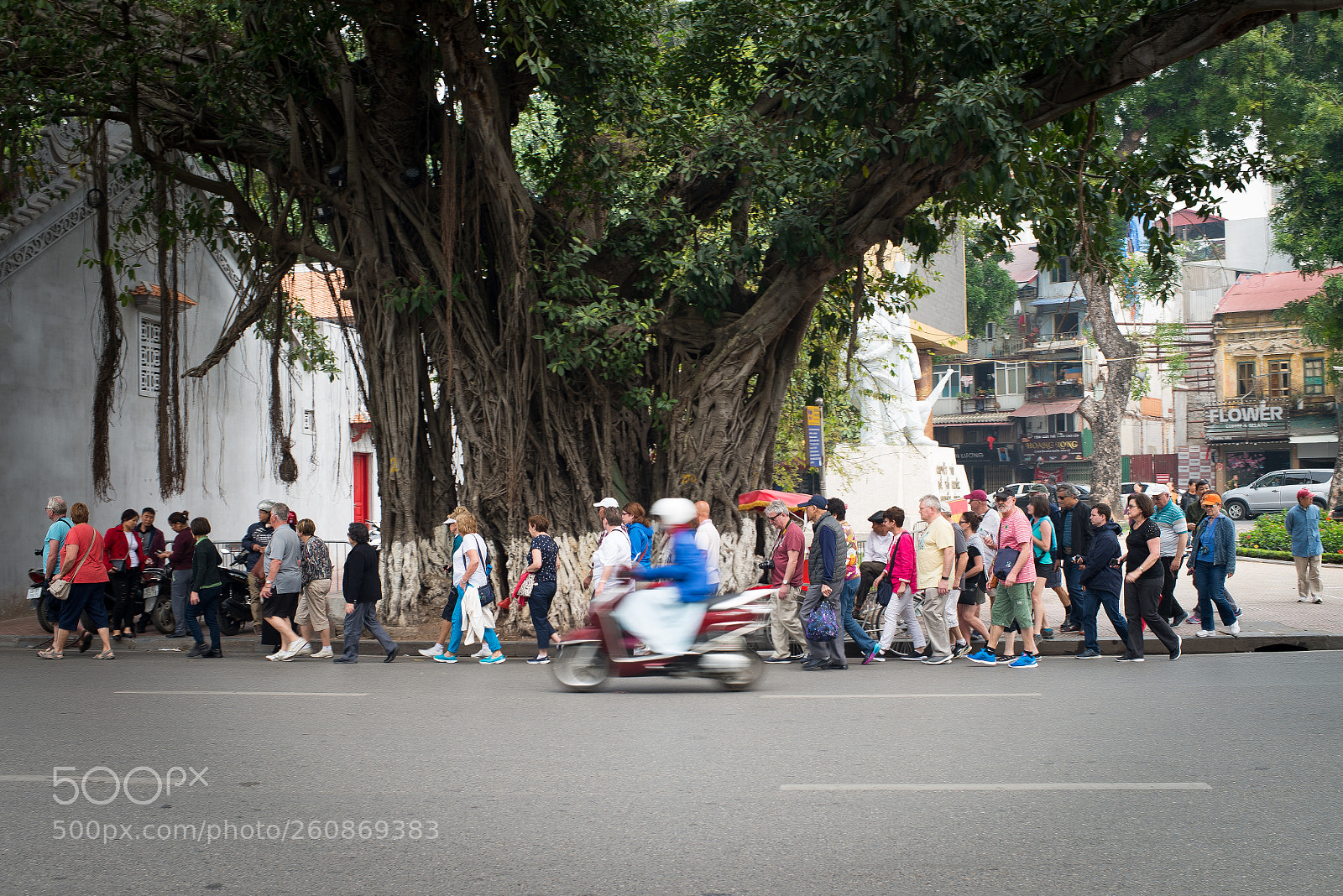 Nikon D610 sample photo. Cây Đa photography