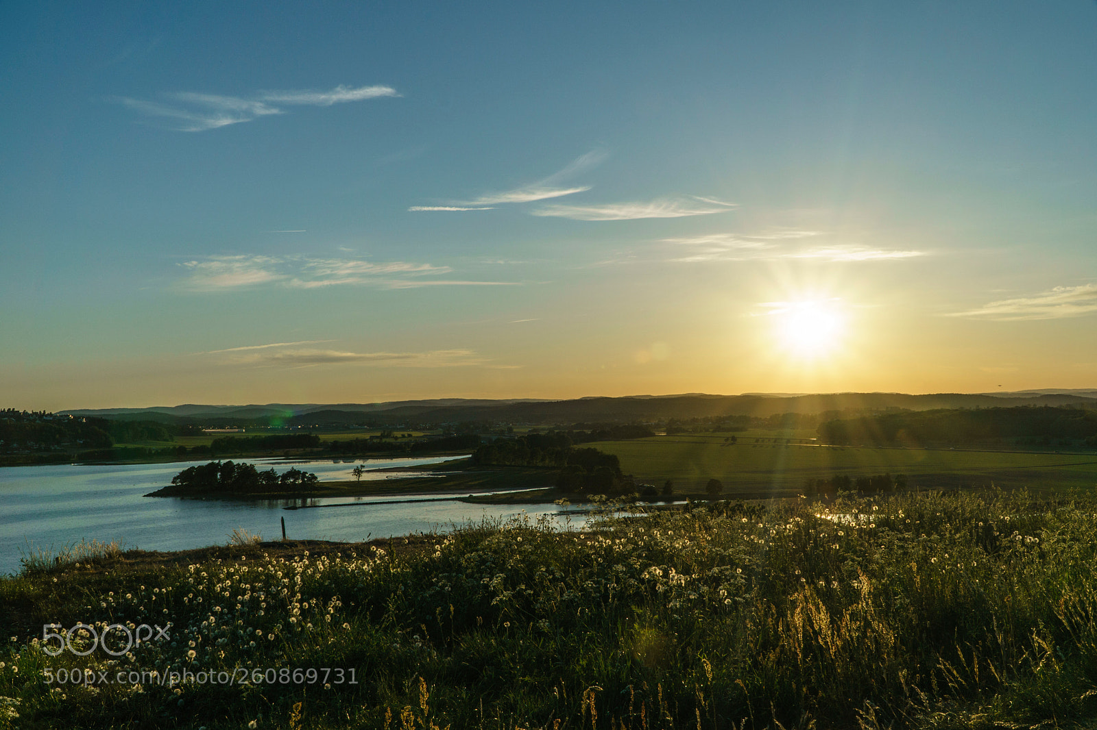 Sony a6000 sample photo. Dsc photography