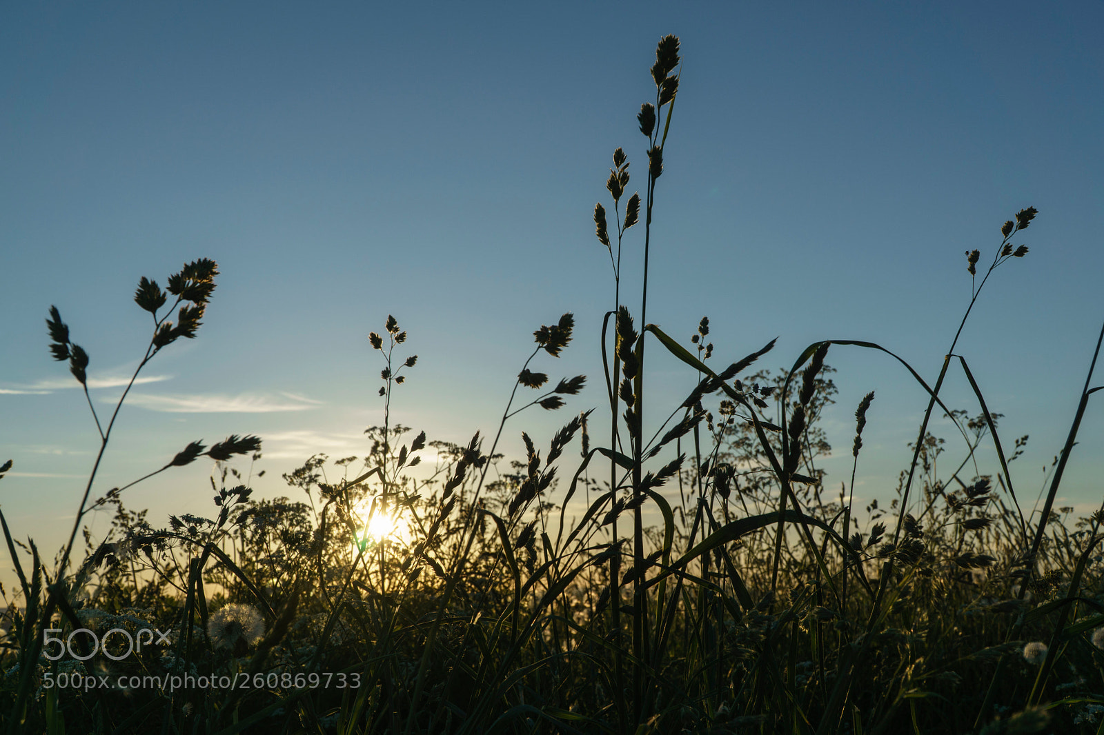 Sony a6000 sample photo. Dsc photography