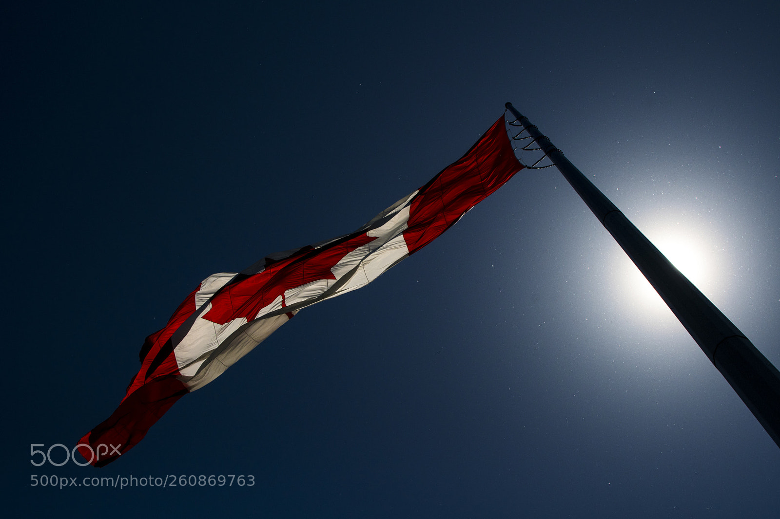 Nikon D500 sample photo. A flag for sandi photography