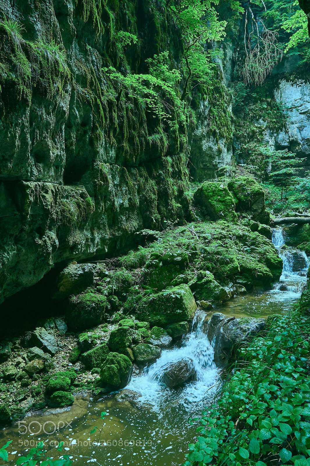 Sony a6000 sample photo. Mystic valley photography