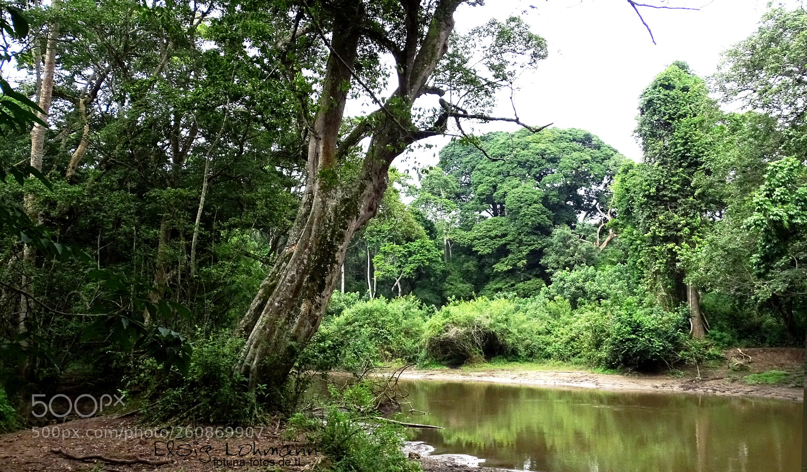 Sony Cyber-shot DSC-HX400V sample photo. River kayambura photography