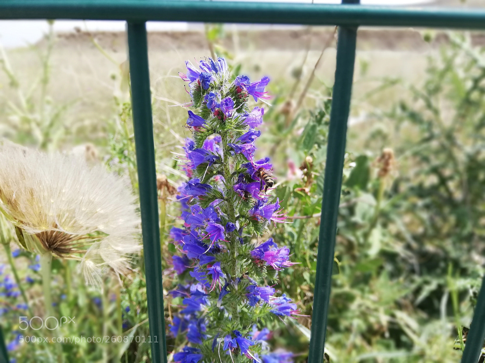 HUAWEI P20 lite sample photo. Untitled photography