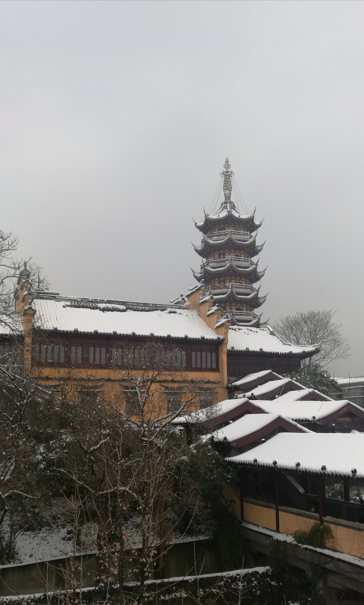 HUAWEI Mate 8 sample photo